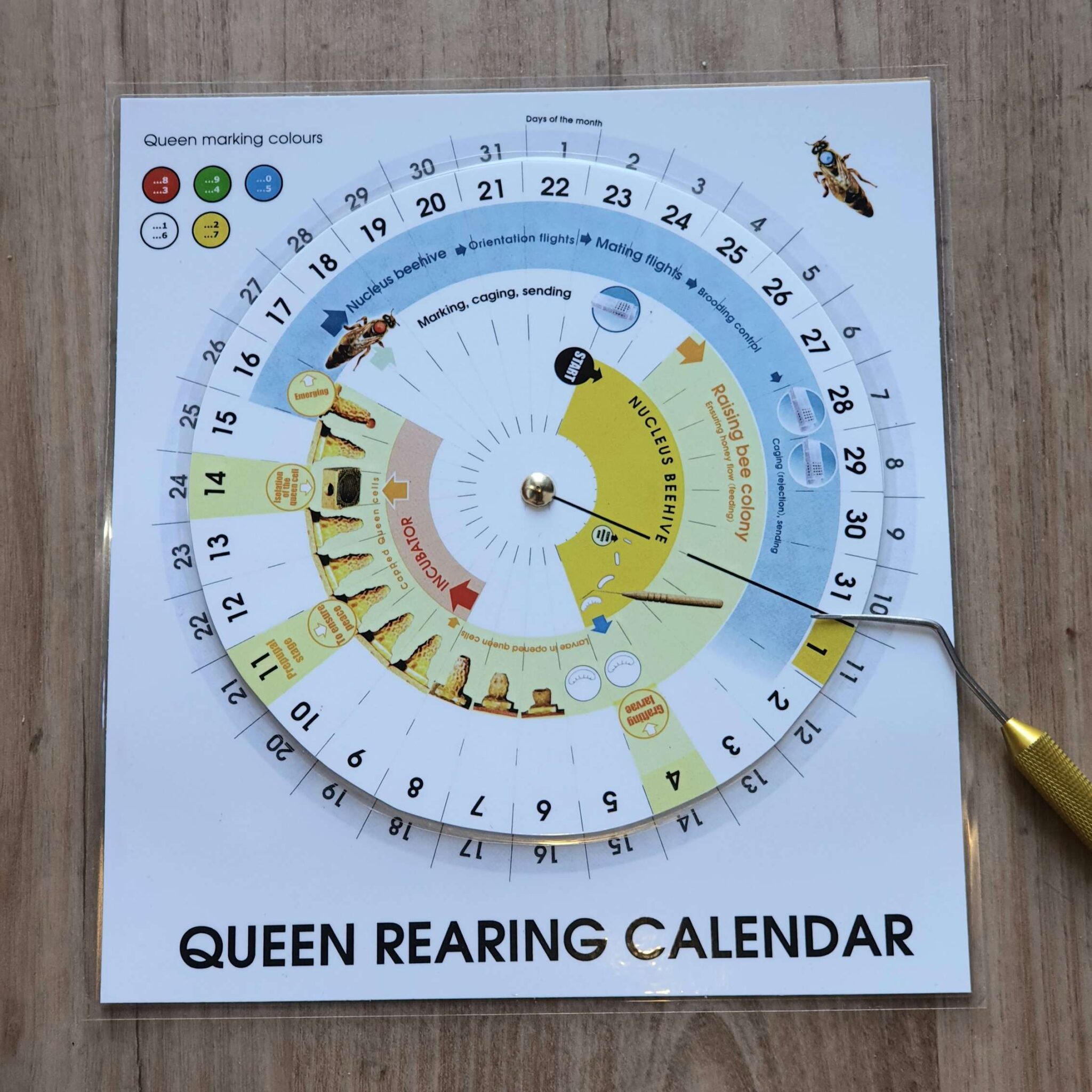 Queen Rearing Calendar Excel