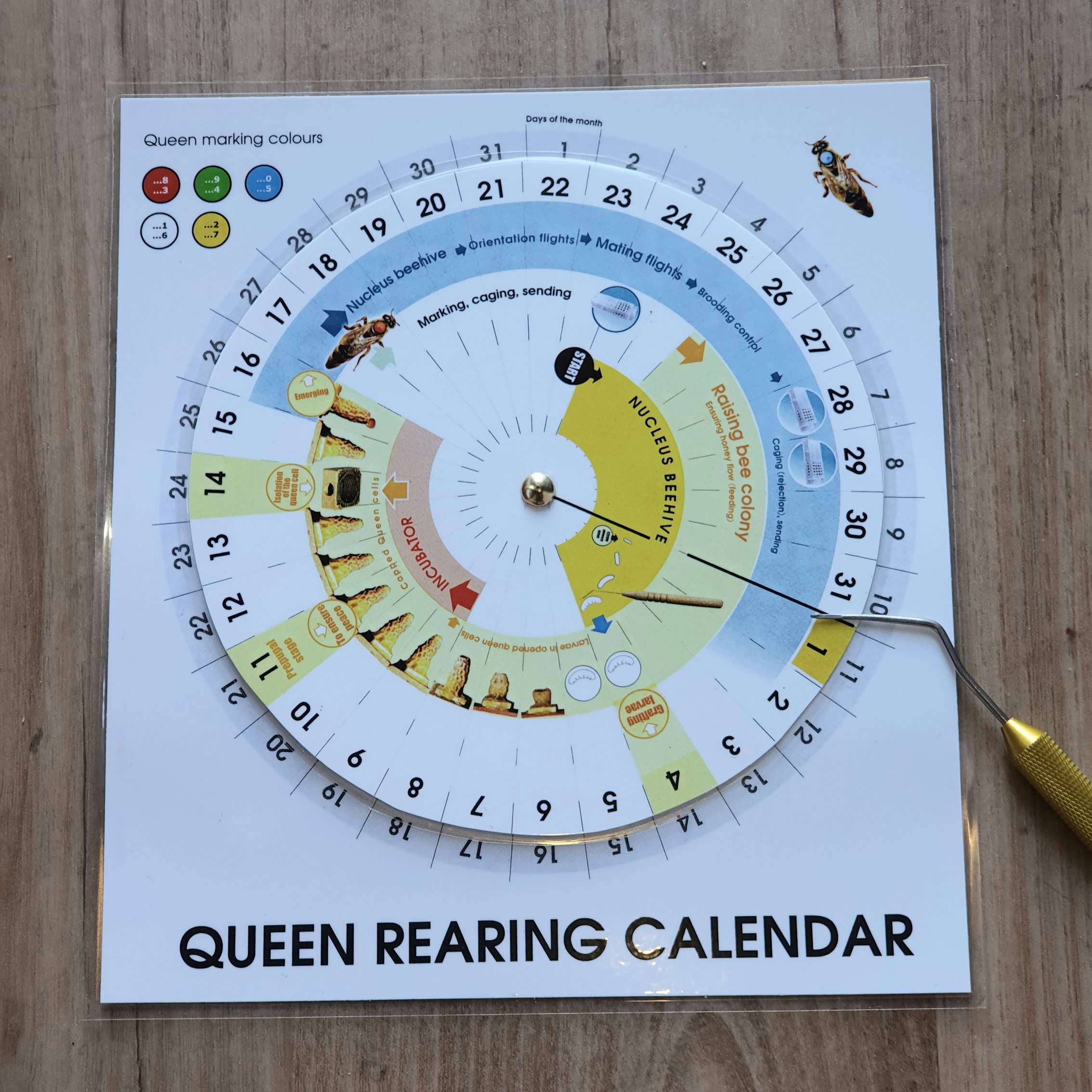 Queen Rearing Calendar Bee Australian Pty Ltd ACN: 612 688 043 ATF